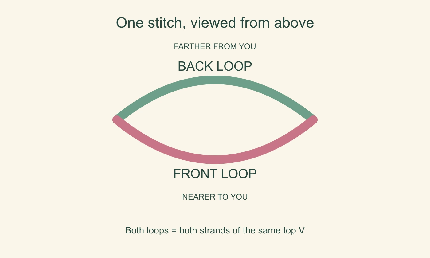 Top view of one stitch, with the nearer front loop and farther back loop labelled
