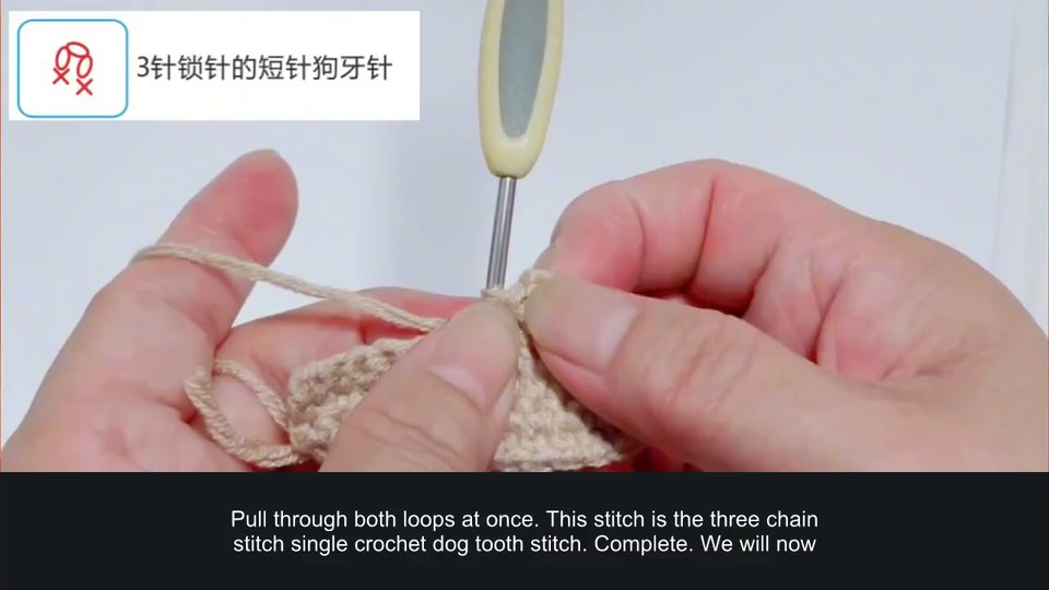 Picot and dog-tooth edging — tutorial video frame